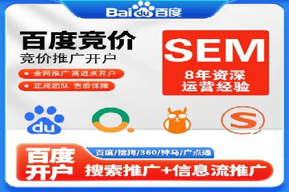 热门SEM运营公司案例深度剖析